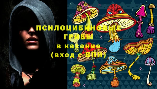 spice Балабаново