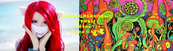 spice Балабаново